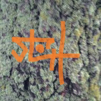 Sloth (USA-2) : 9-6-14